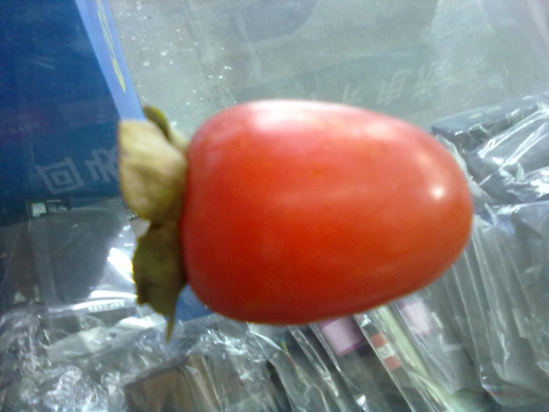 在他乡买的柿子，跟家里的不一样哦~有图有真相672 / 作者:小雨点 / 帖子ID:1201