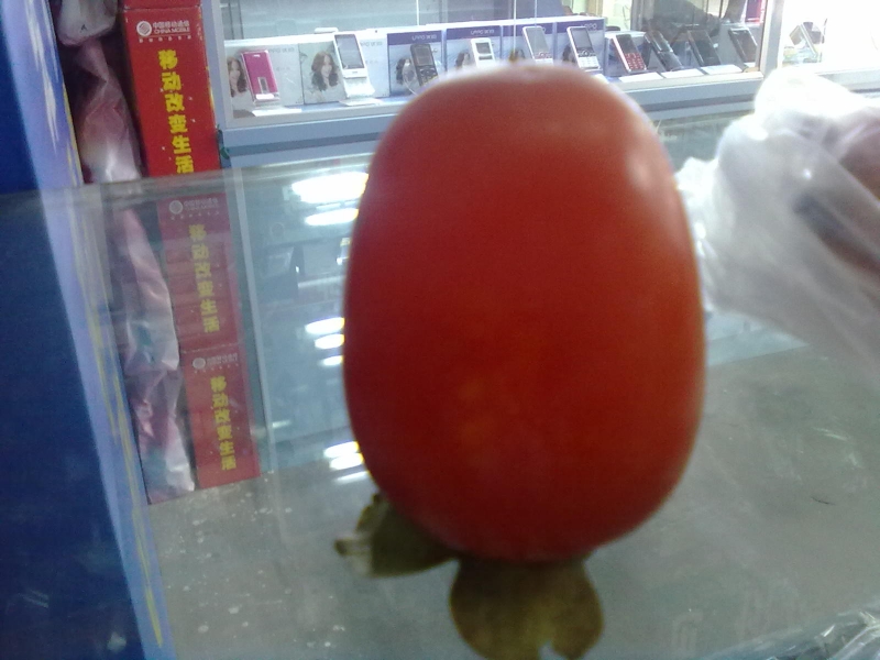在他乡买的柿子，跟家里的不一样哦~有图有真相552 / 作者:小雨点 / 帖子ID:1201
