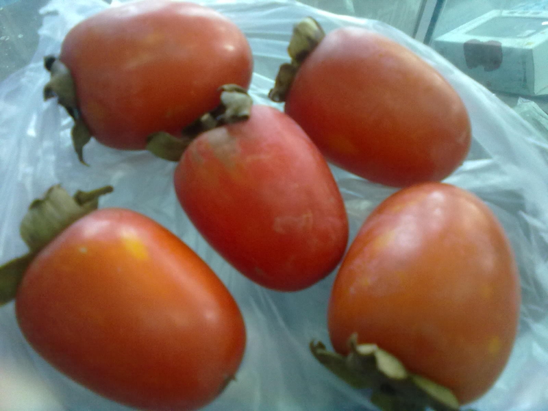 在他乡买的柿子，跟家里的不一样哦~有图有真相433 / 作者:小雨点 / 帖子ID:1201