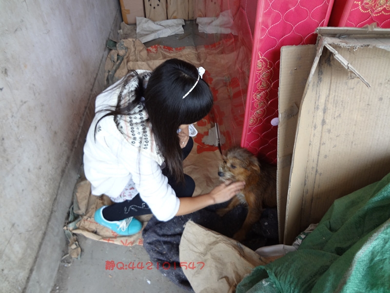 我是静静，我是小不点139 / 作者:Ｓτīｌｌ、静 / 帖子ID:4204