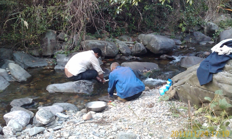 有人卖仙薯摆？993 / 作者:明天 / 帖子ID:5221