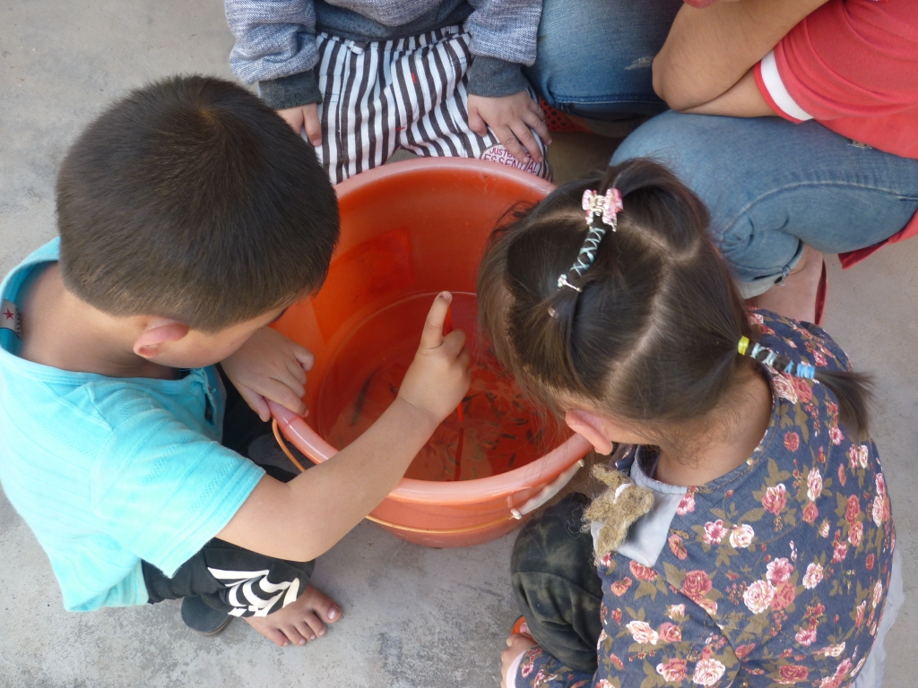 乐在其中——忆童年621 / 作者:小丹丹 / 帖子ID:11170