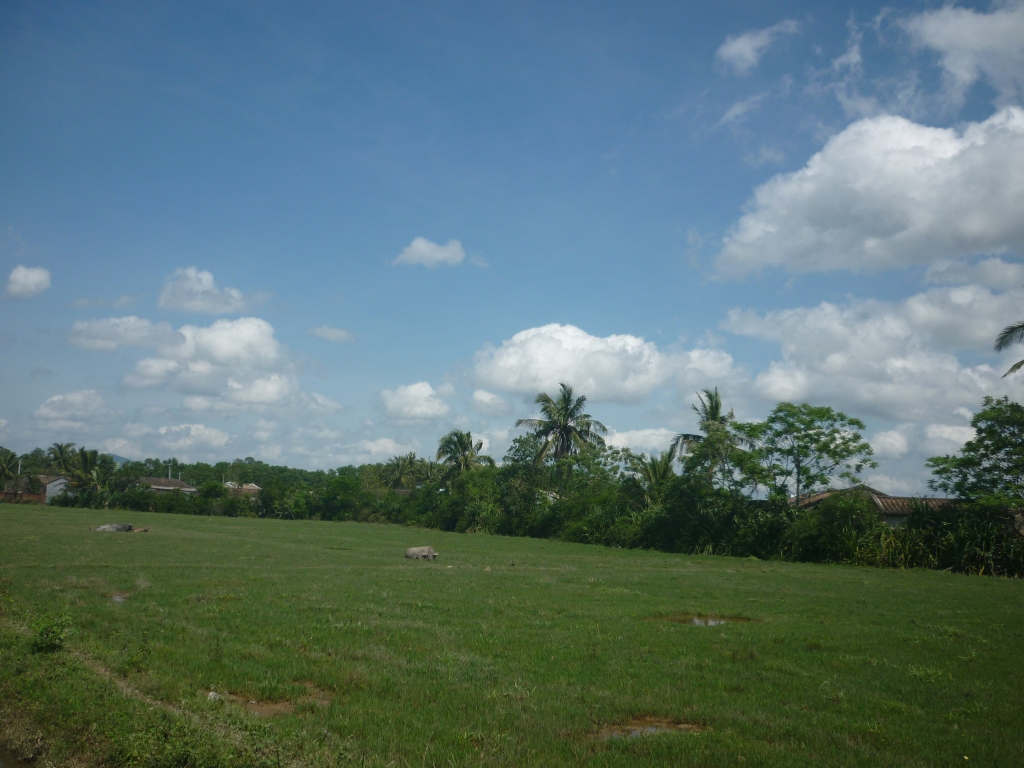 乐在其中——忆童年637 / 作者:小丹丹 / 帖子ID:11170