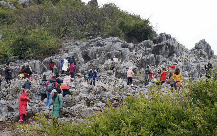 2012桃花节爱心使者桃园徒步（徒步篇）519 / 作者:火星娃崽 / 帖子ID:11601