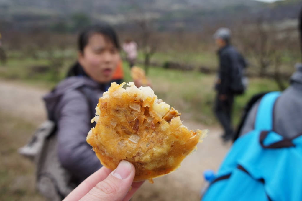 2012桃花节爱心使者桃园徒步（徒步篇）923 / 作者:火星娃崽 / 帖子ID:11601