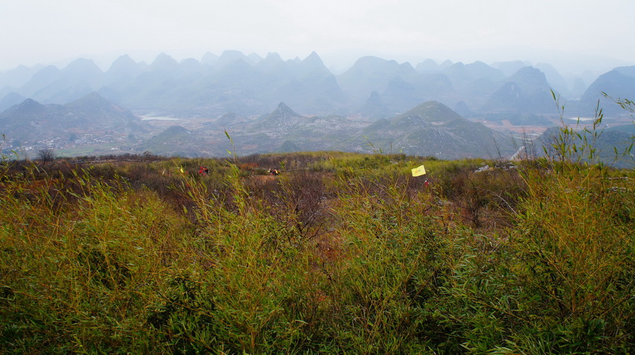 2012桃花节爱心使者桃园徒步（徒步篇）239 / 作者:火星娃崽 / 帖子ID:11601