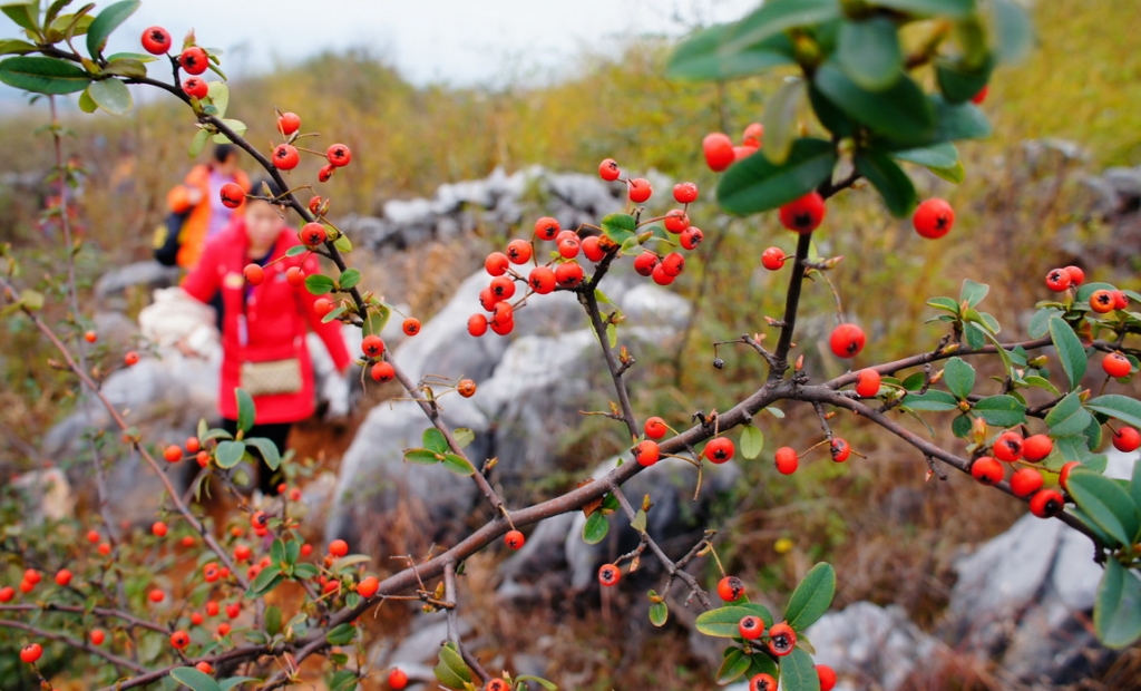2012桃花节爱心使者桃园徒步（徒步篇）385 / 作者:火星娃崽 / 帖子ID:11601