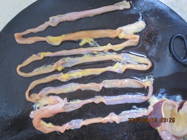 今天买了一只土鸭子 有几点疑点 大家帮分析看558 / 作者:1235 / 帖子ID:14321