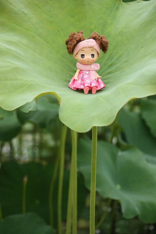 童话：小姐妹的世外荷塘（重新发片，后期过的）341 / 作者:madchan / 帖子ID:19136