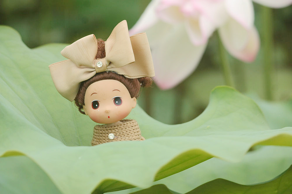 童话：小姐妹的世外荷塘（重新发片，后期过的）949 / 作者:madchan / 帖子ID:19136