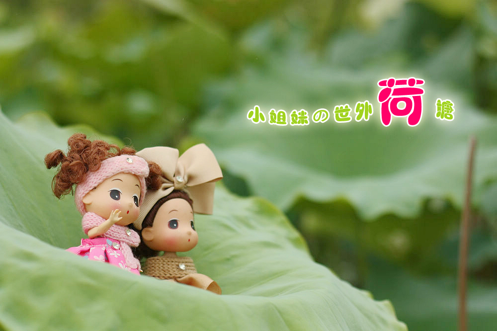 童话：小姐妹的世外荷塘（重新发片，后期过的）83 / 作者:madchan / 帖子ID:19136