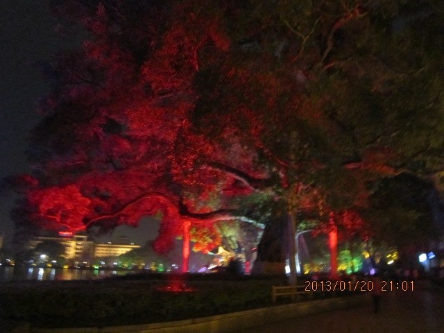 桂林夜景小游，只可惜相机垃圾，技术也不过关，照的不好看600 / 作者:←￠华◥眚☆ / 帖子ID:60973