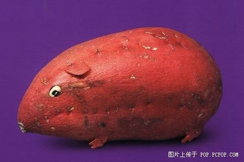 太有创意~(≧▽≦)/~啦啦啦240 / 作者:小雨点 / 帖子ID:66827