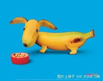 太有创意~(≧▽≦)/~啦啦啦444 / 作者:小雨点 / 帖子ID:66827