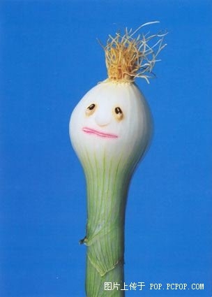 太有创意~(≧▽≦)/~啦啦啦66 / 作者:小雨点 / 帖子ID:66827