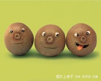 厕所藏在柜子里 MM大胆设计90平古典田园美家131 / 作者:小雨点 / 帖子ID:60576