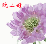 手机拍的拍砖的轻点哦~~~~~~~~~181 / 作者:小雨点 / 帖子ID:100907