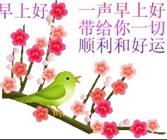 【可爱宝贝睡姿大比拼】女汉子睡姿大曝光 ---192251 / 作者:小雨点 / 帖子ID:99658