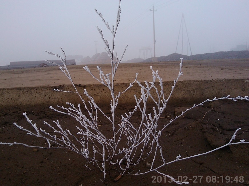 无聊的时候手机拍拍··401 / 作者:sky520snow / 帖子ID:67832