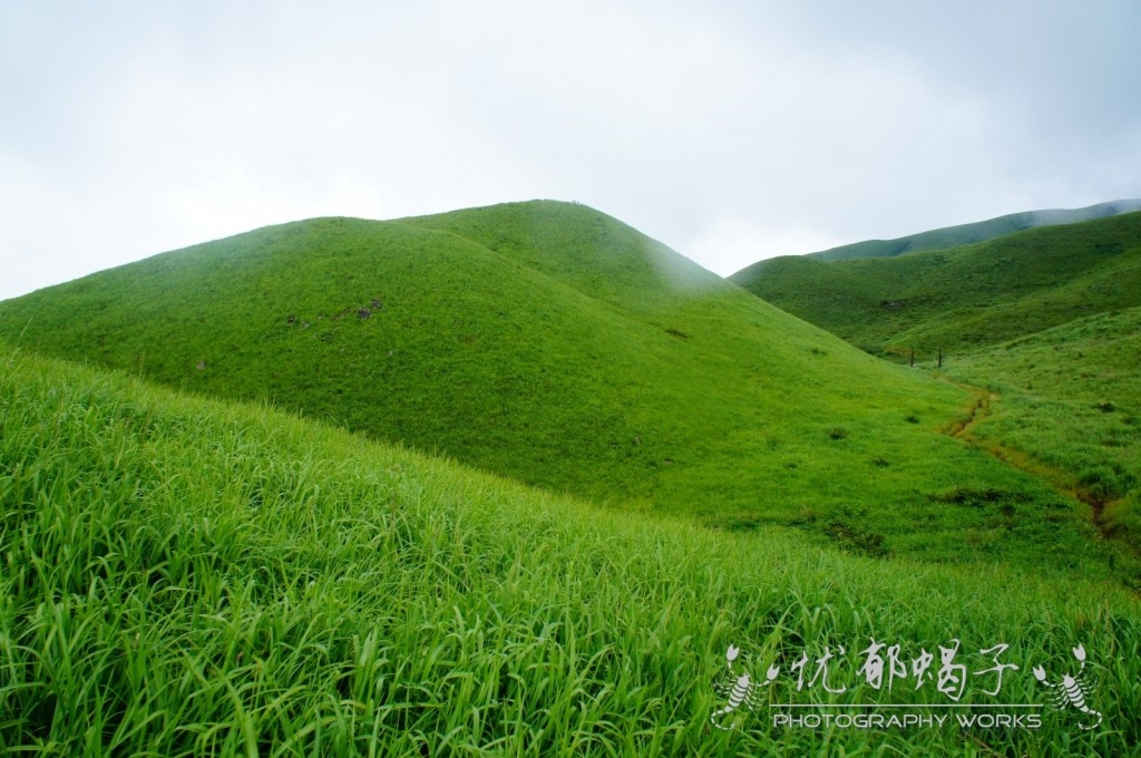 开发中的燕子山158 / 作者:憂鬱蠍子 / 帖子ID:93496