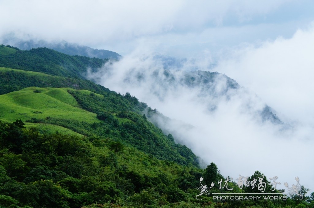 开发中的燕子山88 / 作者:憂鬱蠍子 / 帖子ID:93496