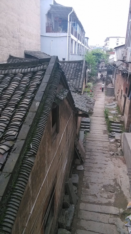 新人贴：遇见恭城（纯图）1000 / 作者:狐狸猪 / 帖子ID:101593