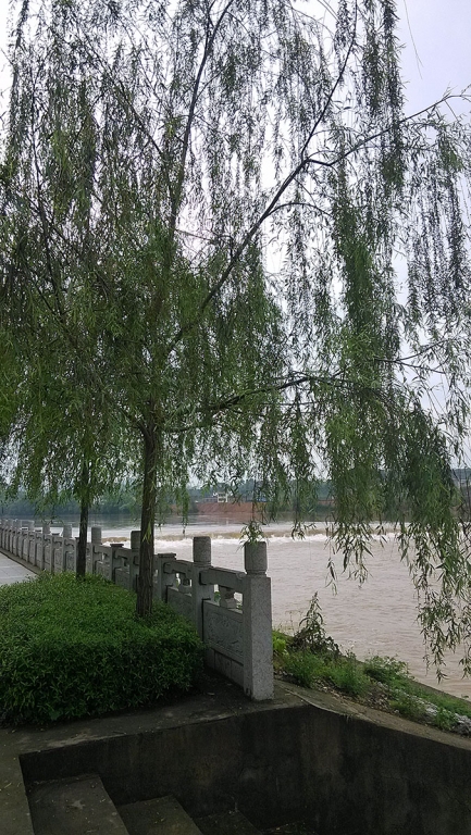 新人贴：遇见恭城（纯图）632 / 作者:狐狸猪 / 帖子ID:101593
