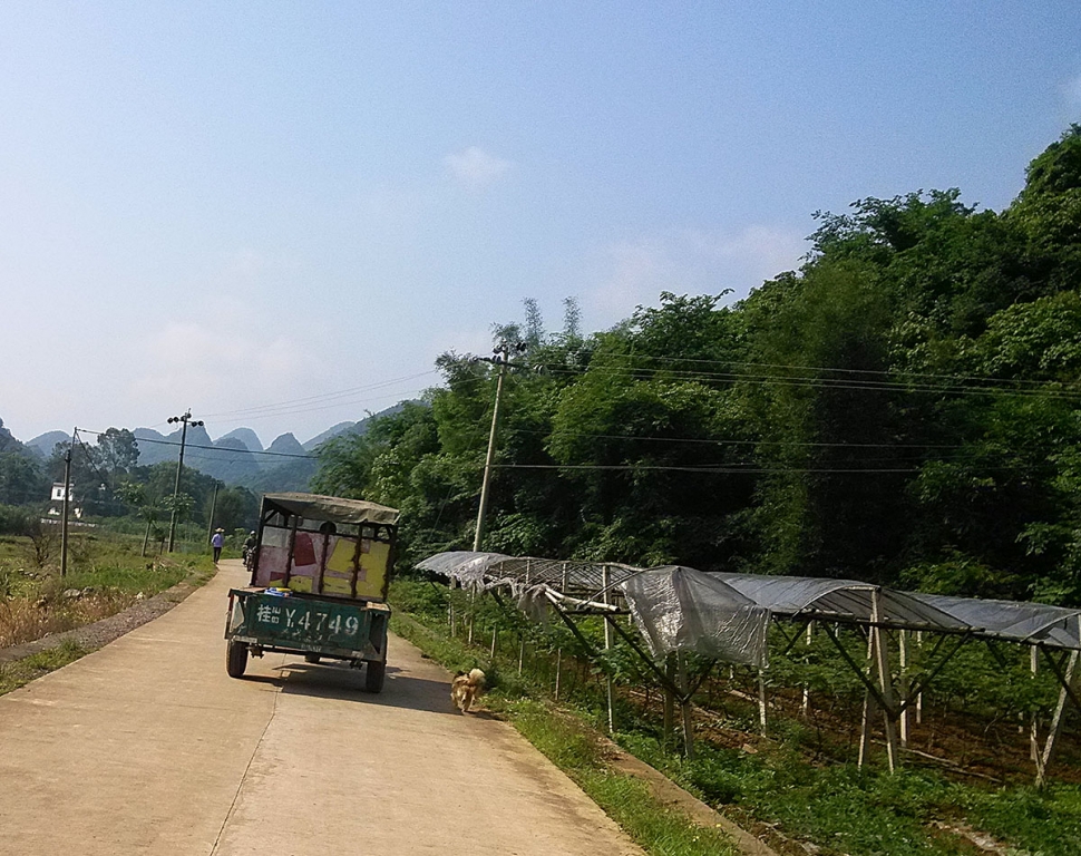 我要超车啦~(≧▽≦)/~啦啦啦998 / 作者:狐狸猪 / 帖子ID:101636