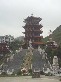 LOL找一起开黑的朋友 服务器守望之海喔786 / 作者:梧桐听雨 / 帖子ID:106604
