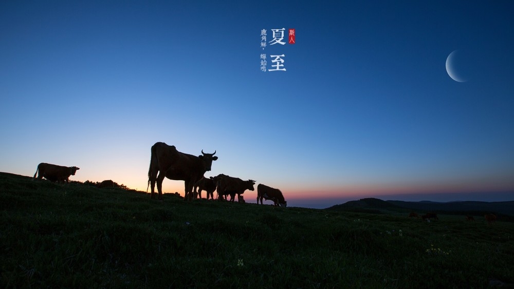 今天夏至.104 / 作者:以空。 / 帖子ID:174577