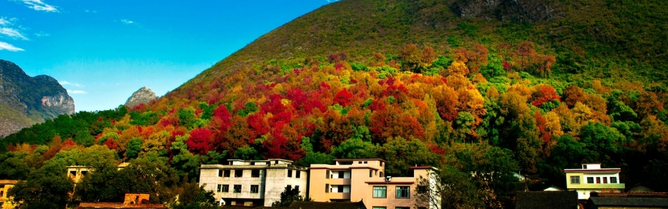 红枫红了735 / 作者:豆子鬼 / 帖子ID:58721