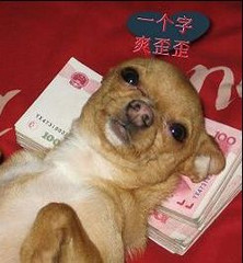 瑶乡风景-----三江乡(照片有更新)800 / 作者:晨锘 / 帖子ID:565