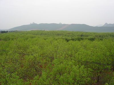 生态农业旅游引新农村之路 广西恭城红岩村见闻225 / 作者:板路多 / 帖子ID:911