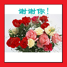 我来岛乱了794 / 作者:莫撩我 / 帖子ID:189