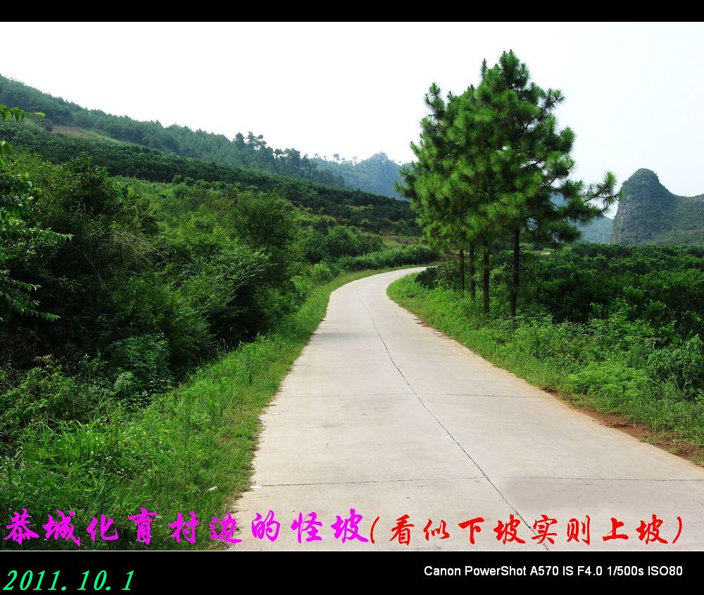 恭城县的一个怪坡&lt;看似下坡实则上坡&gt;40 / 作者:平安大叔 / 帖子ID:1069