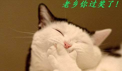 恭城县的一个怪坡&lt;看似下坡实则上坡&gt;368 / 作者:平安大叔 / 帖子ID:1069