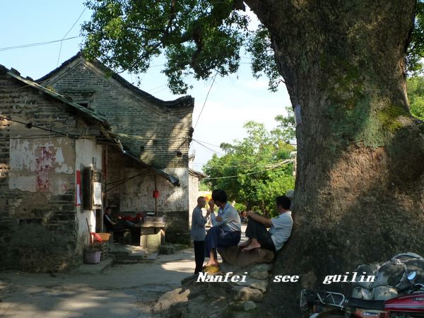 恭城西岭的杨溪古村811 / 作者:翠峰紫阳 / 帖子ID:1480