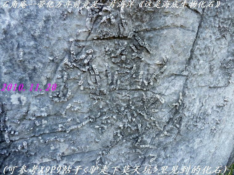 石角庵山顶看风光、谁不说俺家乡好？362 / 作者:平安大叔 / 帖子ID:1502