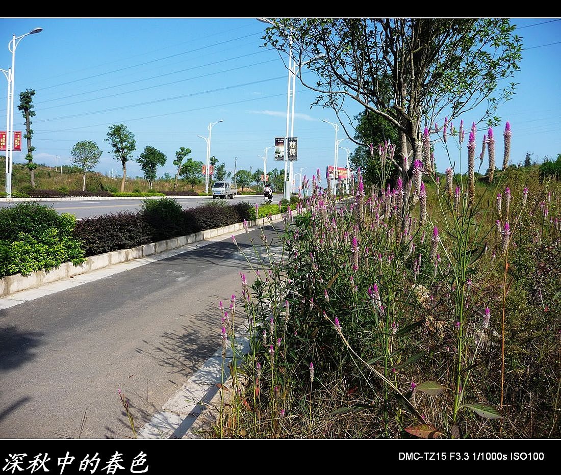 逛西河、观乌石、游治平一路杂拍。512 / 作者:平安大叔 / 帖子ID:1663