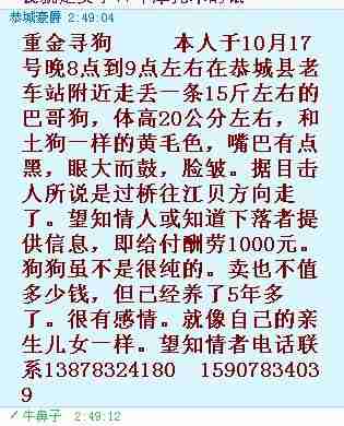 我帮老板找狗2467 / 作者:牛鼻子 / 帖子ID:1794