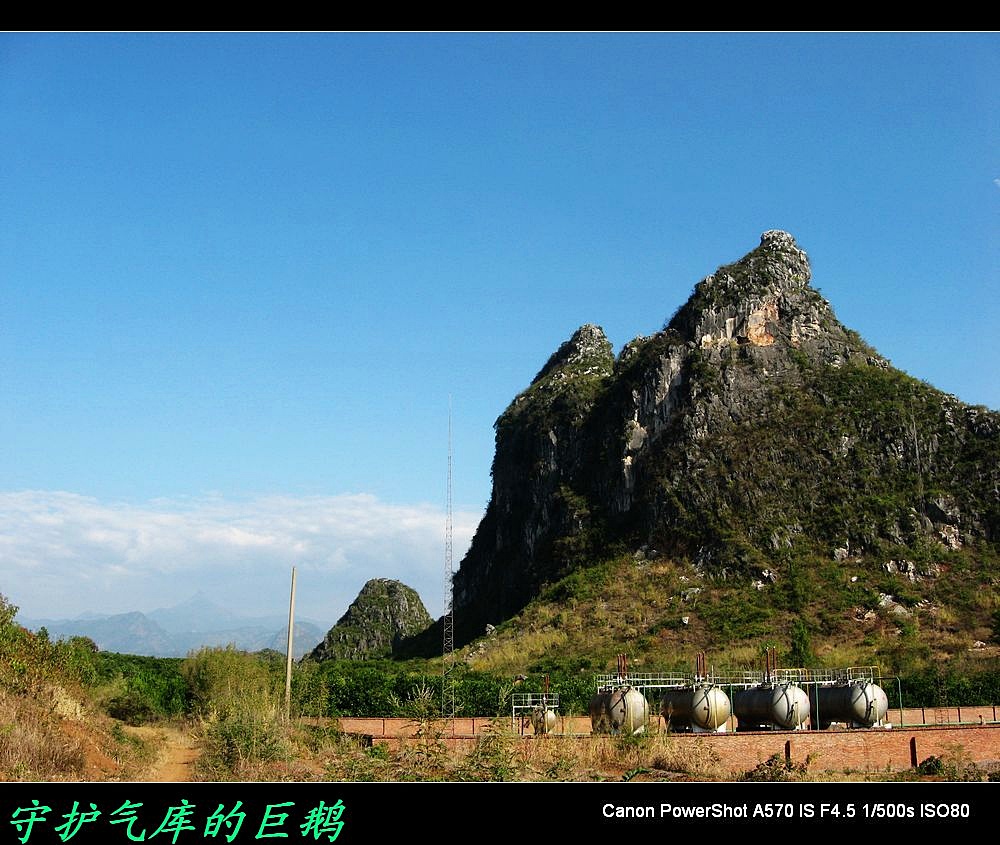 世界上最大的恐龙和天鹅齐集在恭城！665 / 作者:平安大叔 / 帖子ID:1894