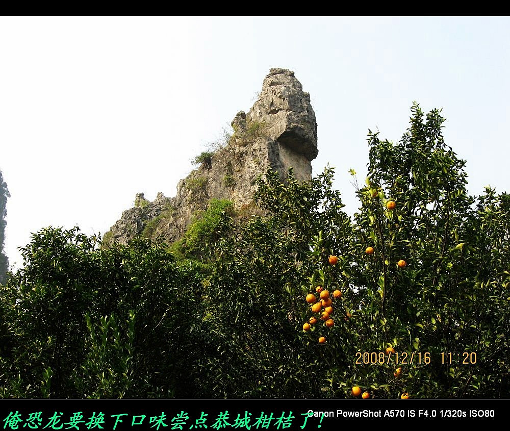 世界上最大的恐龙和天鹅齐集在恭城！128 / 作者:平安大叔 / 帖子ID:1894