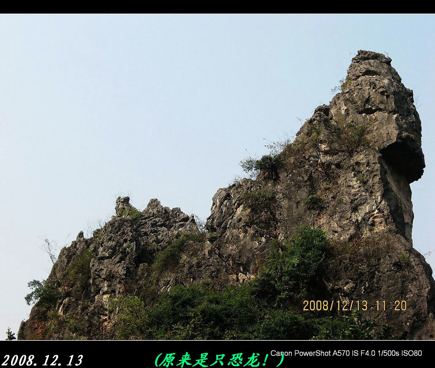 世界上最大的恐龙和天鹅齐集在恭城！347 / 作者:平安大叔 / 帖子ID:1894