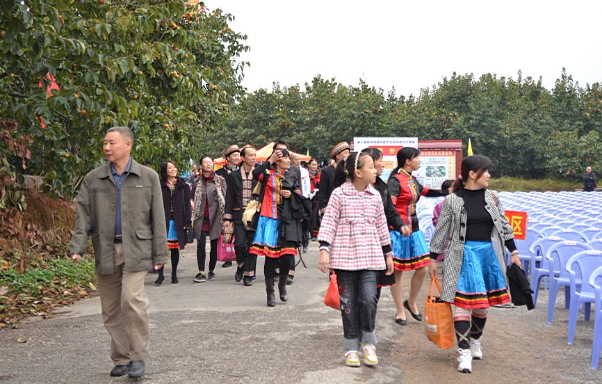 2011第八届恭城月柿节活动直播帖558 / 作者:admin / 帖子ID:2451