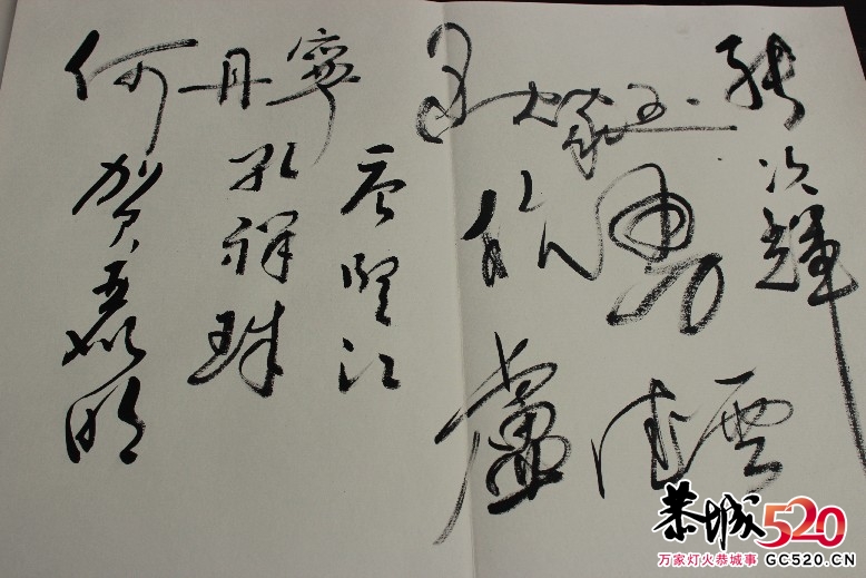 书法联展上拍到的瑶族美女522 / 作者:瑶族老 / 帖子ID:2585