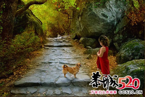 油画一般新奇的影像世界 感受内心世界的恬静872 / 作者:好孩子 / 帖子ID:2590