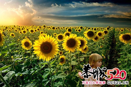 油画一般新奇的影像世界 感受内心世界的恬静102 / 作者:好孩子 / 帖子ID:2590
