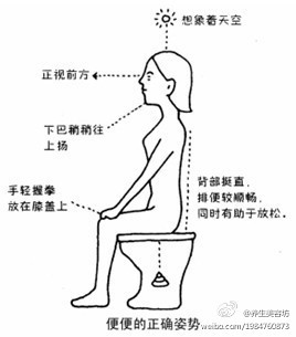 正确的大便姿势，大伙都来看看啊哈哈443 / 作者:资深五迷 / 帖子ID:2683