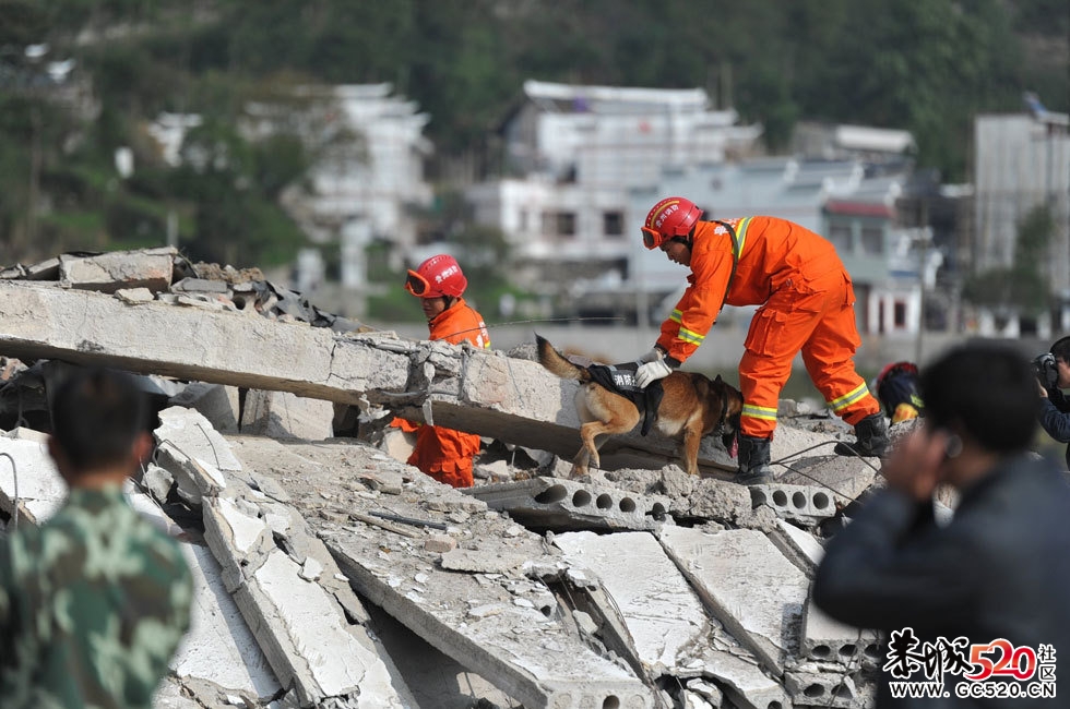 72吨炸药爆炸死伤数百人683 / 作者:四渡赤水 / 帖子ID:2699