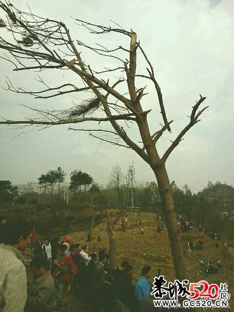 72吨炸药爆炸死伤数百人21 / 作者:四渡赤水 / 帖子ID:2699